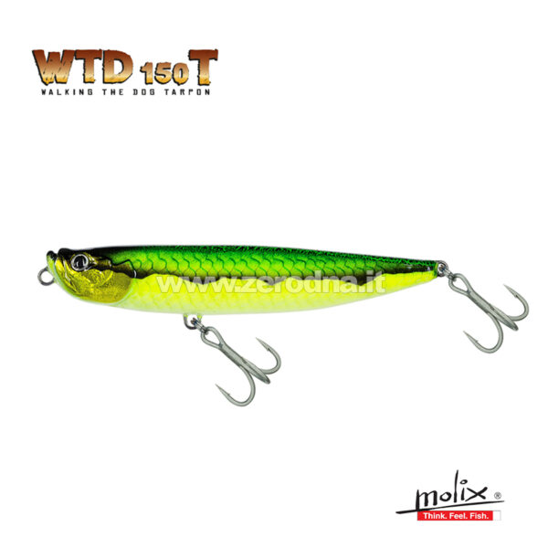 Molix Wtd
