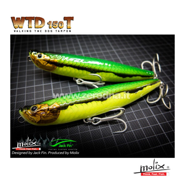 Molix Wtd