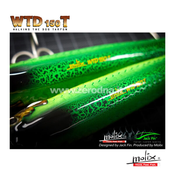 Molix Wtd
