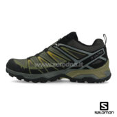 Salomon X Ultra 3 Gtx