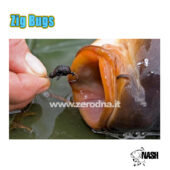 Nash Zig Bugs Natural