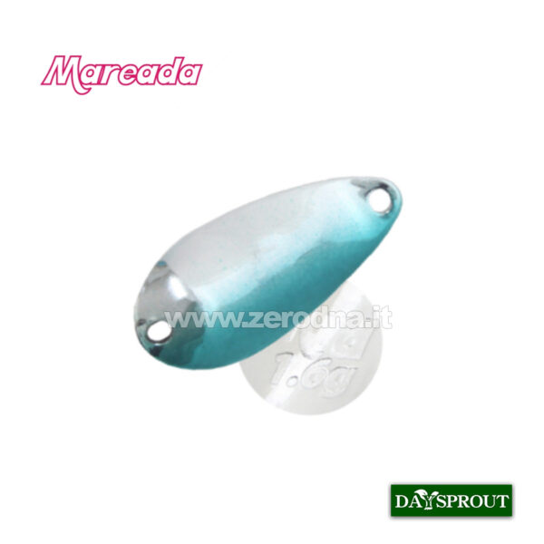 Daysprout Mareada