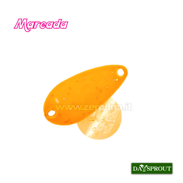 Daysprout Mareada