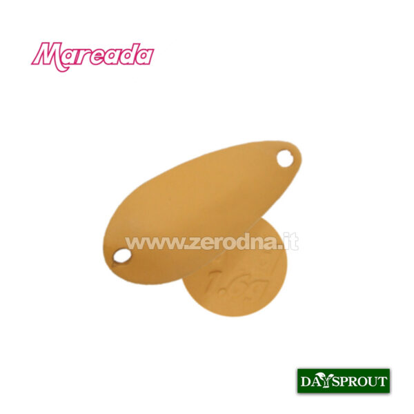 Daysprout Mareada