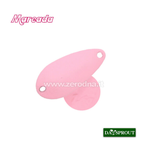 Daysprout Mareada