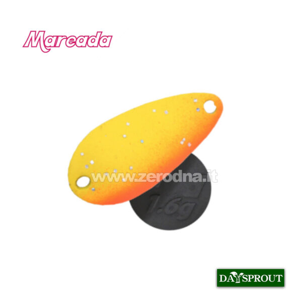 Daysprout Mareada