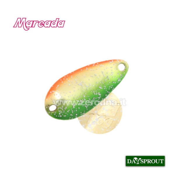Daysprout Mareada