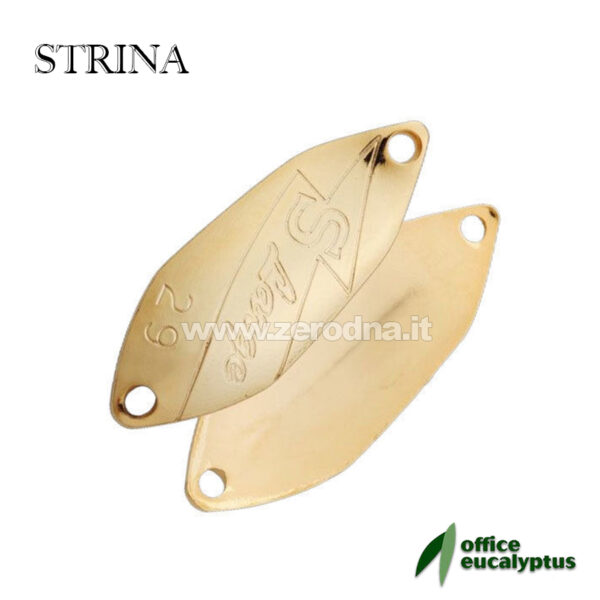 Office Eucalyptus Strina