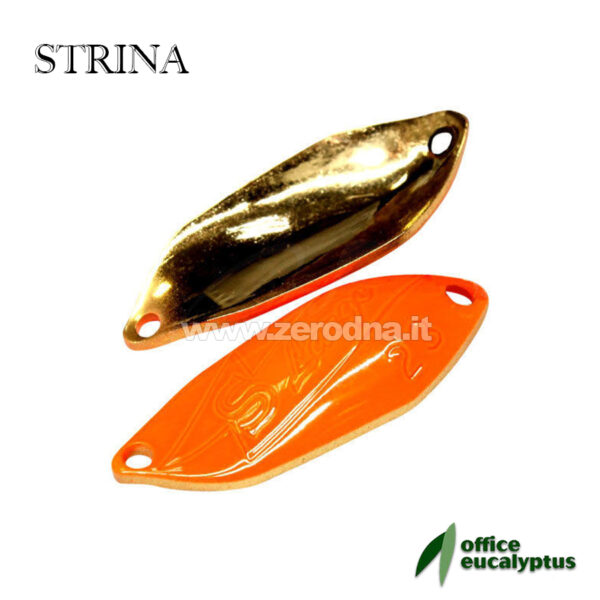 Office Eucalyptus Strina