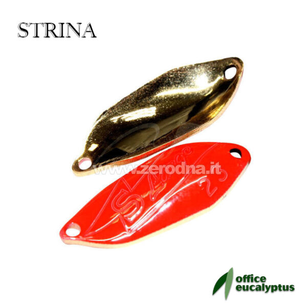 Office Eucalyptus Strina