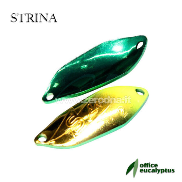 Office Eucalyptus Strina