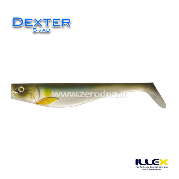 Illex Dexter Shad