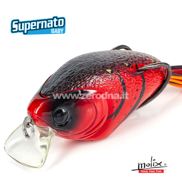 Molix Supernato Baby