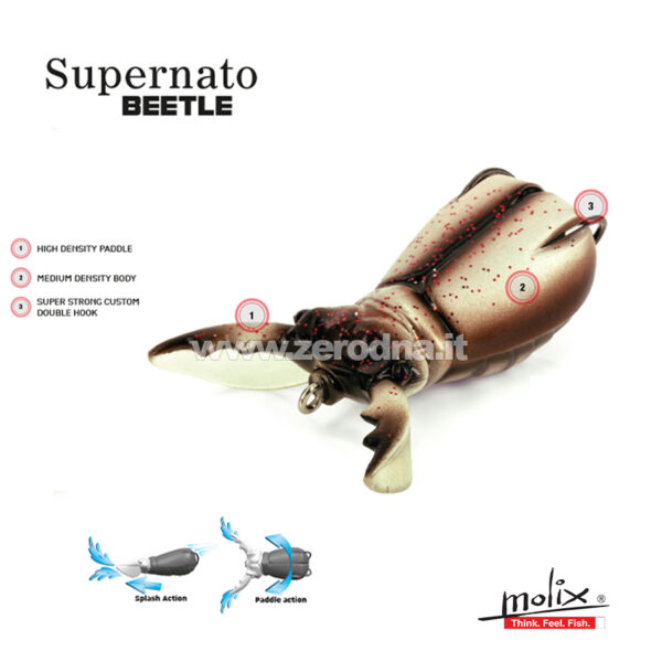 Molix Supernato Beetle