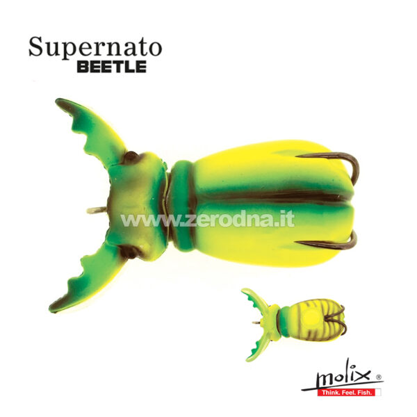 Molix Supernato Beetle - Chart Beetle