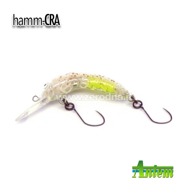 Antem Hamm-Cra