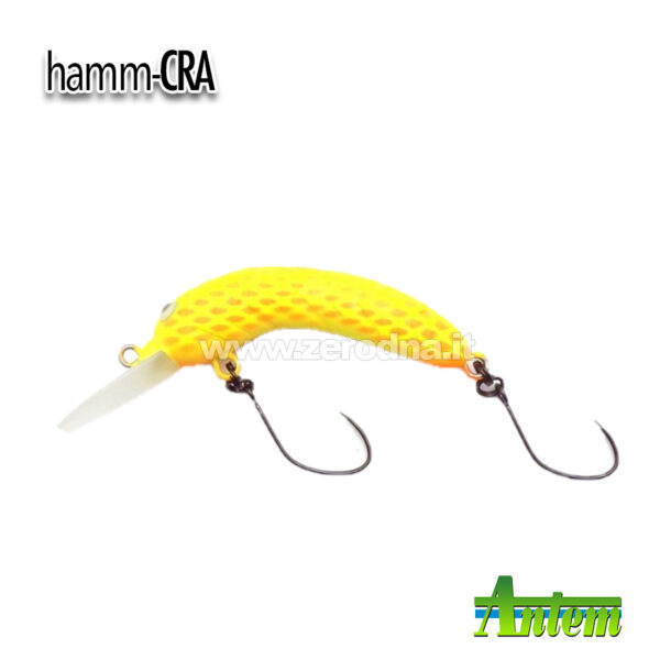 Antem Hamm-Cra
