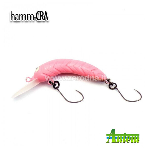 Antem Hamm-Cra