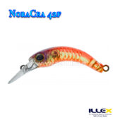 Illex NoraCra 42 F
