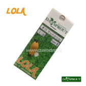 Daysprout Lola