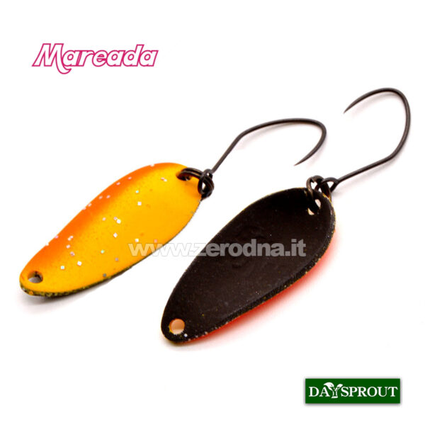 Daysprout Mareada