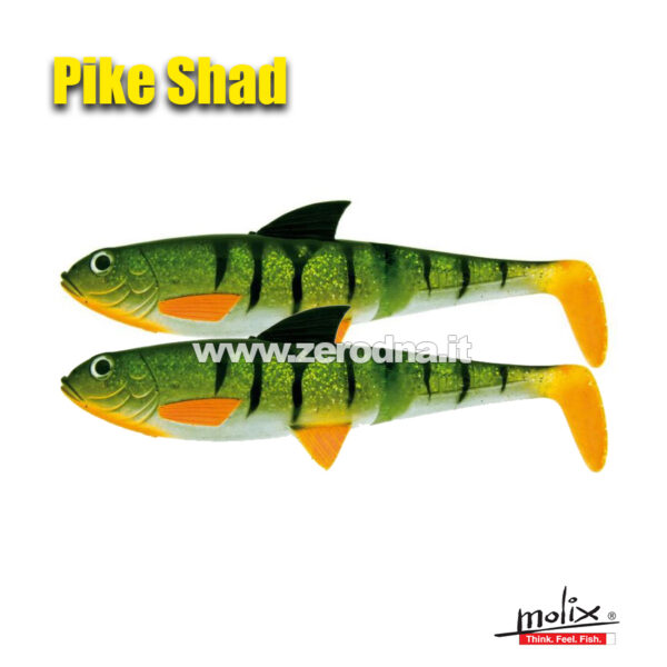 Molix Pike Shad