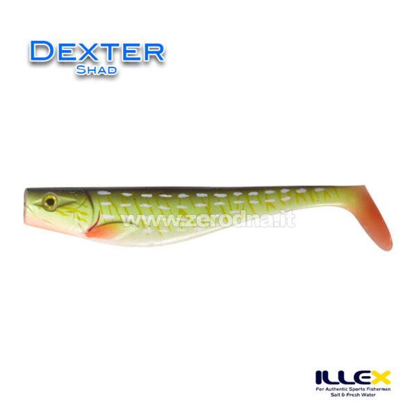 Illex Dexter Shad