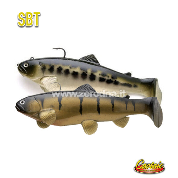 Castaic Sbt