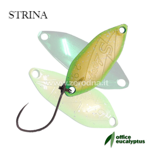 Office Eucalyptus Strina