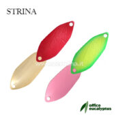 Office Eucalyptus Strina