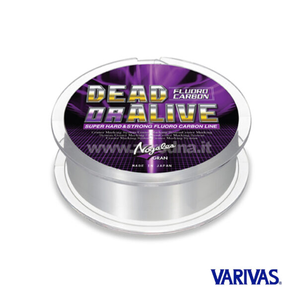 Nogales Dead Or Alive Fluoro