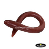 Bait Breath Vein 5.5