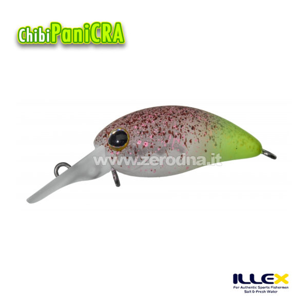 Illex Chibi Panicra