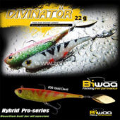 Biwaa Divinator