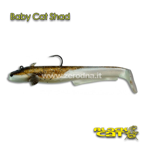 Black Cat Baby Cat Shad