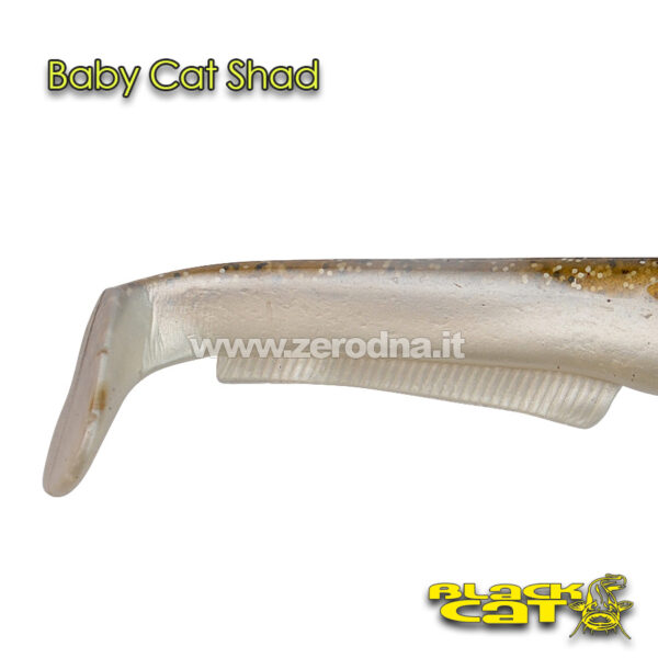 Black Cat Baby Cat Shad