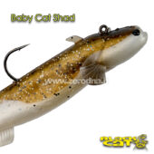 Black Cat Baby Cat Shad