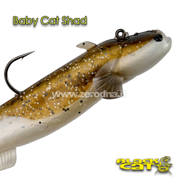 Black Cat Baby Cat Shad