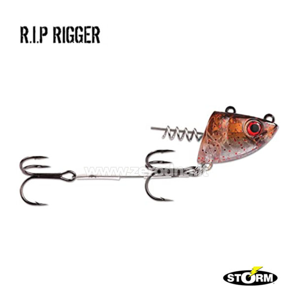 Storm R.I.P. Rigger
