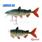 Quantum Junker DS