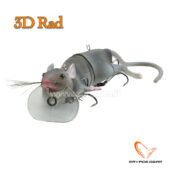 Savage Gear  3D Rad
