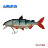 Quantum Junker DS