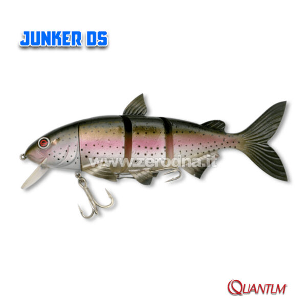 Quantum Junker DS
