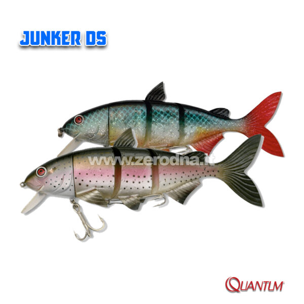Quantum Junker DS