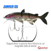 Quantum Junker DS