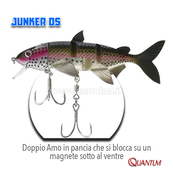 Quantum Junker DS