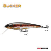 Live Target Sucker