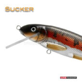 Live Target Sucker