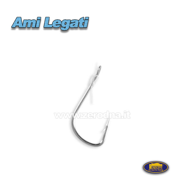 Ami Legati