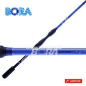 Airrus Bora